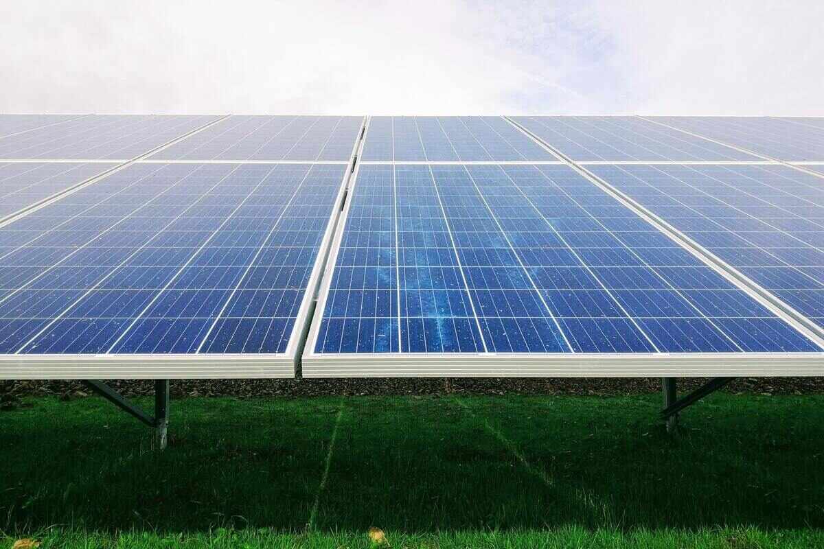 Agrowoltaika - spos&oacute;b na oszczędność terenu