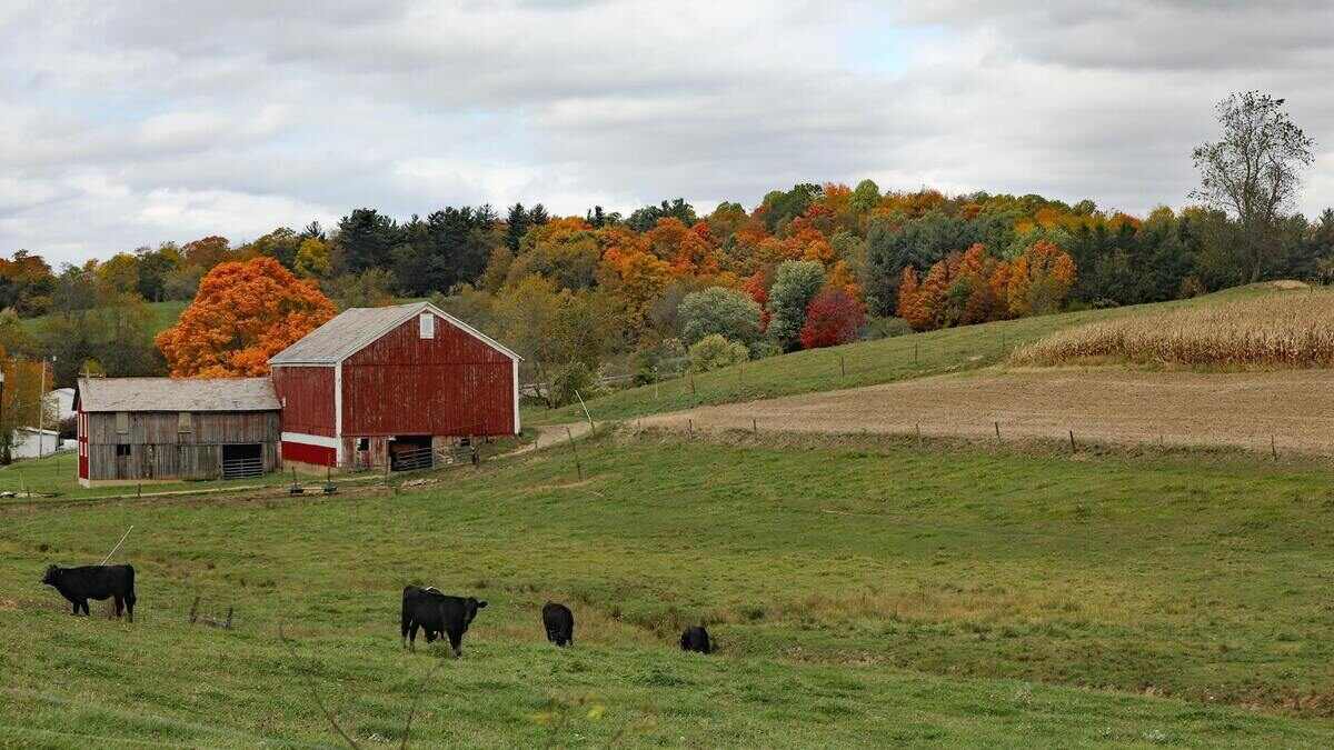 Nowe dofinansowanie dla rolnik&oacute;w do fotowoltaiki (PROW)