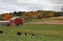 Nowe dofinansowanie dla rolnik&oacute;w do fotowoltaiki (PROW)