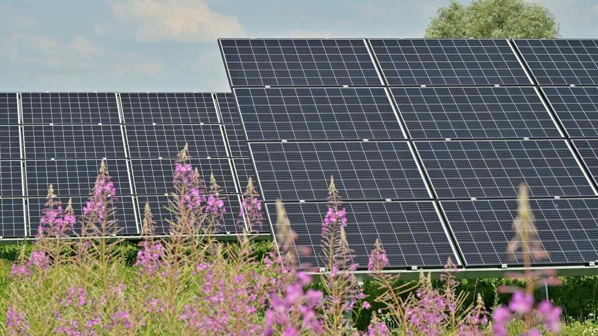 Fotowoltaika na działce ROD | Co mówią przepisy?