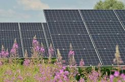 Fotowoltaika na działce ROD | Co mówią przepisy?